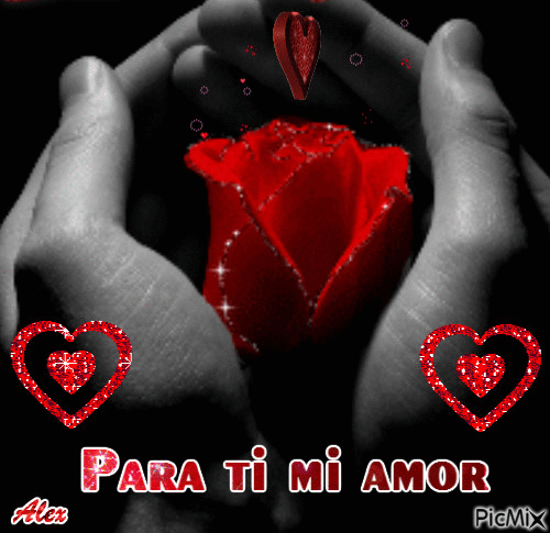 Amor 1